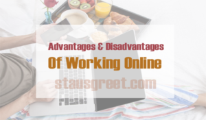 Advantages and disadvantages of working online