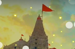 God Krishna Status Video  2021