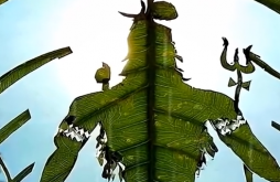 Mahadev Mahakal Full Screen Video Download