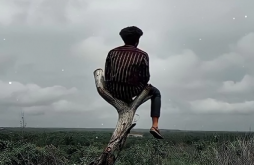 Gujarati alone whatsapp video status