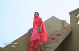 He Koyalrani Jone Gujrati Love Status