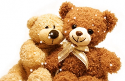 Happy Teddy Day Whatsapp Status Video Song 2022