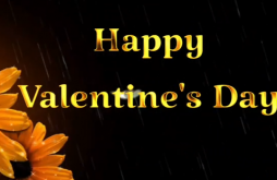 Happy Valentines Day Special  Status Video
