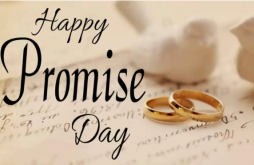Promise Day Whatsapp Status Video  2022