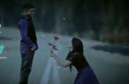 Propose Day Whatsapp Status Video 2022