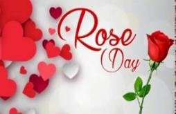 Rose  Day best Status 2022