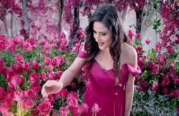 Rose day WhatsApp status video 2022