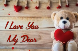 Teddy Day Special Whatsapp Video Status Valentines Week Special Status