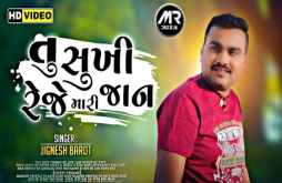 તુ સુખી રેજે મારી જાન | Jignesh Barot  New Sad Song 2022