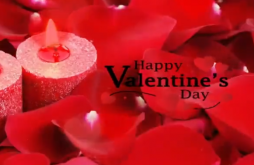 Valentines Day Whatsapp Status Video