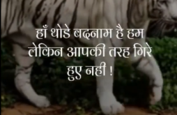 Attitude Video Status