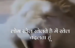 Best Attitude Status Video