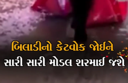 બિલાડીનું કેટ વોક જોઈને સારી-સારી મોડલ પણ શરમાઈ જશે, કરતબ જોઈને લાખો લોકો થયા મંત્રમુગ્ધ