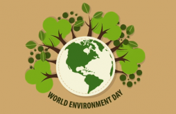 ENVIRONMENT DAY VIDEOS STATUS