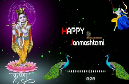 Janmashtami Special Status Video