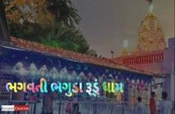 New Mogal Maa status 2022