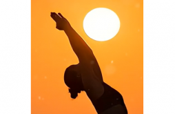 Yoga Day Status Video