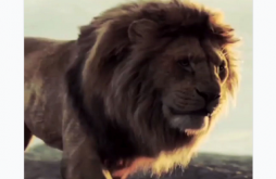 Attitude Shayari Status Video