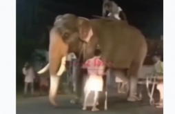 Bahen Jara Sambhal Ke Comedy Video