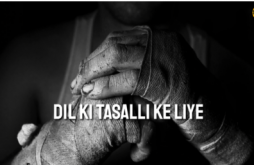 Boys Attitude Video Status