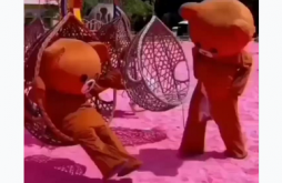 Cute Love Status VIdeo Download