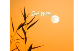 Good Morning Status Video