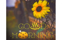Good Morning Status Video