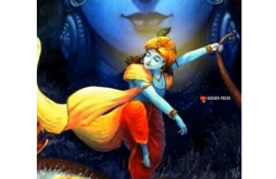 Jai Shree Krishna Status Video HD