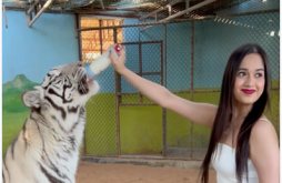 Jannat Zubair New Video Status