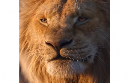 Lion King Attitude  Whatsapp Status Video