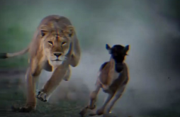 New Attitude Video Status 2022