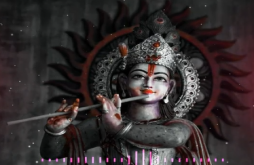 Shree Krishna HD Status Video
