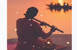 Shri Krishna New Status Video