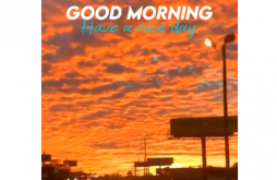 Good Morning Whatapp Video Status