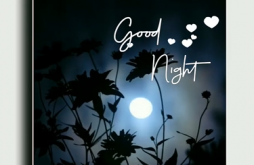 Good Night Video Status