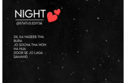 Good Night Whatapp Video Status