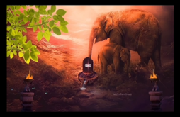 Maha Shivaratri Special Video Status