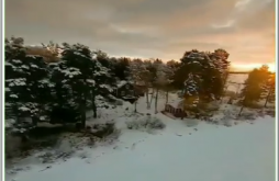 Morning  Vibe Feel The Music Video Status