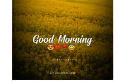 New Good Morning Status Video