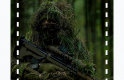 Happy Independence Day Special Status