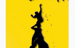 Happy Krishna Janmashtami Video Status