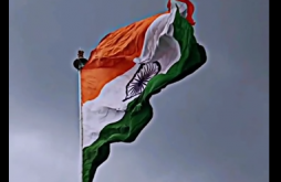 Independence Day Status Video