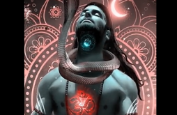Mahadev Whatapp Status Video