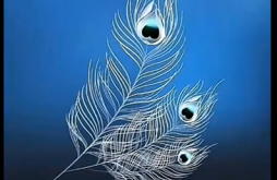 Main Ager | Hare Krishna Whatapp Status Video