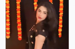 Rits Badiani New Viral Video