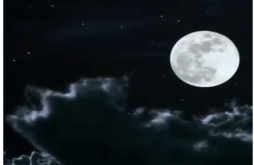 Sharad Purnima 2022 video Status