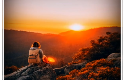 Latest Good Morning Whatsapp Status  Video