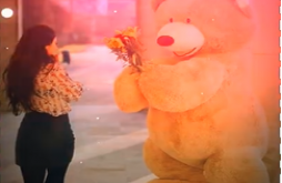 Awesome new video status teddy day 2023