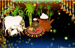 Happy Pongal To All Friends