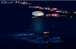Latest Good Night Whatsapp Status Song Download Fullscreen